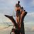 Christian Ericson's profile image