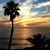 Barbara L. Fontes's profile image