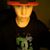 Guillaume Chouk's profile image
