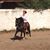 Corinne Titus's profile image