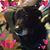 Nancy Welch Tipton's profile image