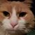 Amber Genett Smits's profile image