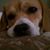 Lilians Marleny Collins's profile image