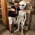 Chadrick Pickens's profile image