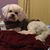 Betts Molly's profile image