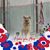 Darlene Strickland McKay's profile image
