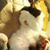 Nathanael Ohmacht's profile image