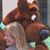 Linda Krog's profile image