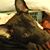 Julie Skala's profile image