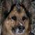 Pete Halberstadt's profile image