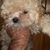 Richard Fortune's profile image