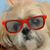 Nancy Marshall Barton's profile image