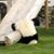 Mark Stefanos's profile image