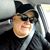 Franklin J. Berroeta's profile image