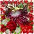 Kathy Hollingsworth Busby's profile image