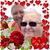Alice Phelan's profile image