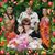 Elayne Christiansen's profile image