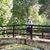 Lucinda Ann Marsh's profile image