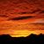 Christine Boggess's profile image