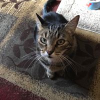 Vicki Klein's profile image