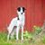 Pam Kilby's profile image