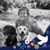 Robyn Lynn Vancil's profile image