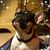 Annique Fenlason's profile image