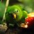 Maria Nevarez's profile image