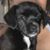 Eliza Alarcon's profile image