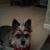 Carolin Kerr's profile image