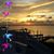 Phyllis W. Capps's profile image