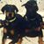 Karen Wiwchar's profile image