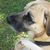 Rosemary Stagg's profile image