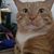 Graham Liera's profile image