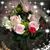 Paty Soto Paulin's profile image