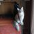 Kristi Marie Rogers's profile image