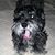 Betina Foreman's profile image