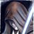 Tom Buchanan's profile image