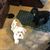 M Kim Haverty's profile image