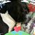 Tracie Warriner's profile image