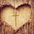 Taschia Garretti's profile image