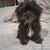 Ricardo Tapia's profile image