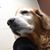 Doug Knapp's profile image