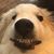 Nicole F Sharpe's profile image