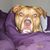Adele Broderick's profile image