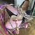 Rosemary Shepardson's profile image