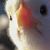 Ryan Clonce's profile image
