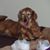 Jodi Houston Browné's profile image