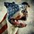 Matt Riemer's profile image