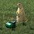 Laurie Tinsley's profile image